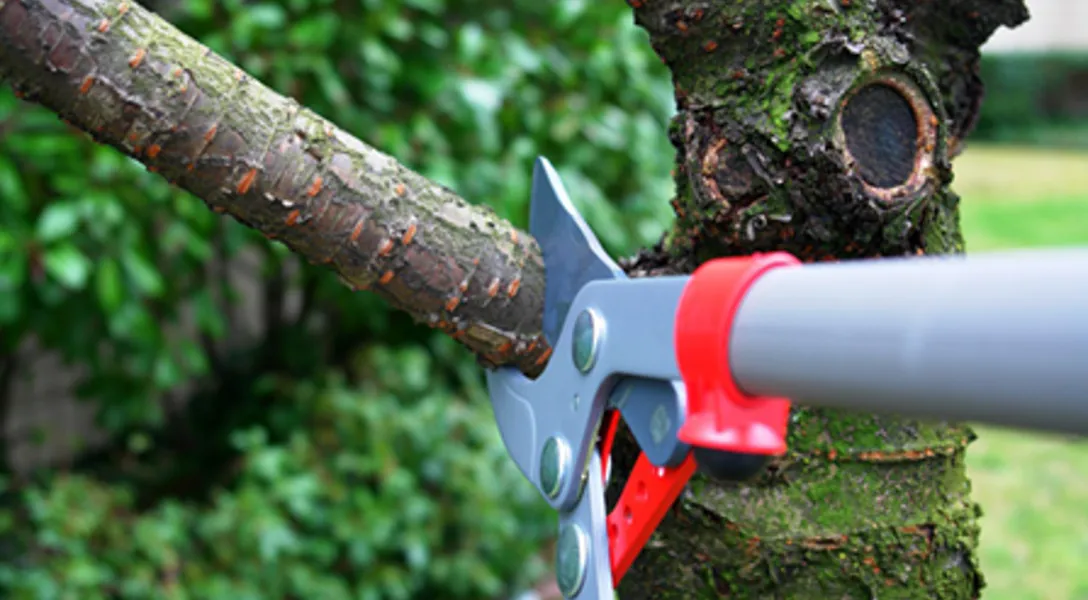 external-kitchen-renovation-yogi-aprelliyanto-detailed-outline-yogi-aprelliyanto